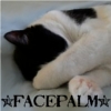 sara: a picture of a cat with his paw over his face and the caption *facepalm* (facepalm)