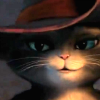 kittysoftpaws: (That your eyes have ever seen)