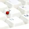 maroonladybug: Ladybugs and Laptops ... what more is there? (Default)