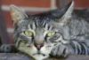 ext_41062: (Default)