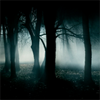 themutedscarp: (Default)