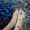 naive: (blue meadow toes)