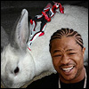 pantswarrior: Bunny on a bunny. Xzibit approves. (t&b insanity)