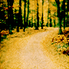 syderia: road in the woods (travel)