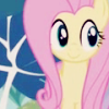 shying: ('cause there are words)