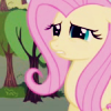 shying: (but maybe I'll stay low)