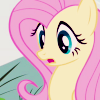 shying: (it must just be stress)