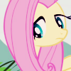 shying: (but I likely shouldn't be here)