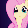 shying: (this moment is all we have)
