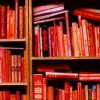 dakiwiboid: (Lots of books)