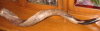avivasedai: (shofar)
