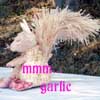 gillo: (garlic squirrel)