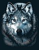 wolftime: (Silver Wolf)