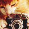 shonen_angel: (Miss Kitty)