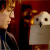hero_complexed: (Who the hell put this owl here?)