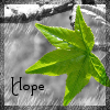 kerravonsen: a green leaf: Hope (hope)