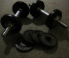 nyecamden: (free weights)