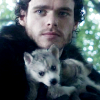 wolfking: (cutest baby direwolf)