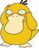 supergee: (psyduck)
