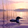 linaewen: (Linaewen Lake of Small Birds)