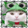 kristy: Kitty Froggy (Kitty Froggy)