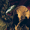hmo: (Angel of Death)