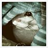 anenome: (maddie blanket)
