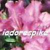iadorespike: (Azalea)