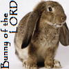 thursdays_angel: (Bunny of the Lord)