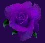 sunkitty: (Purple Rose)