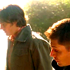 musesfool: sam and dean in sunshine (don't look back)