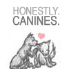 adistantsun: (remus & sirius as pups)