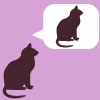 ext_12019: cat thinks about god (Default)