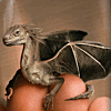 dragonheart: (Baby Dragon)