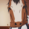 absolutelyshameful: (horse ☾ neigh.)