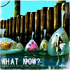 wistfuljane: the gang in the fist tank from finding nemo after having escaped with the caption "what now?" (what now)