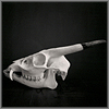 konsectatrix: a black and white photo of a muntjac skull; a tiny deer with spike antlers and long pointed canines. (muntjac skull; all our demons are real)