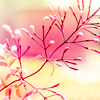 glimmers: (pic#2948642)