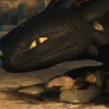 b2_dragon: (mine)