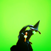 promethia_tenk: (witch)