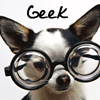warmdarkwoman: (dog geek)