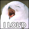 jd: (I LOL'D)