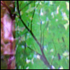 skywardprodigal: me and a green screen (meme-leaves)