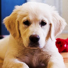 drfeelgold: (☞ Did they cancel Game of Thrones?)