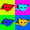 jd: (Default)