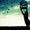 origamiflowers: (fly free)