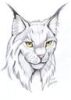 louisadkins: Anthro-Cat - Head Shot (Serious)