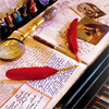 judicious_imitation: Two red feathers on opposite pages of an open book; a fountain pen lays in the center, a magnifying glass across the top (Default)
