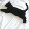 onceamy: A black cat lies in bed; almost exactly like me :). (Cat-5)