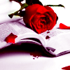 murderinghours: Blood, red roses, a book. (It was ment to be a tragedy)